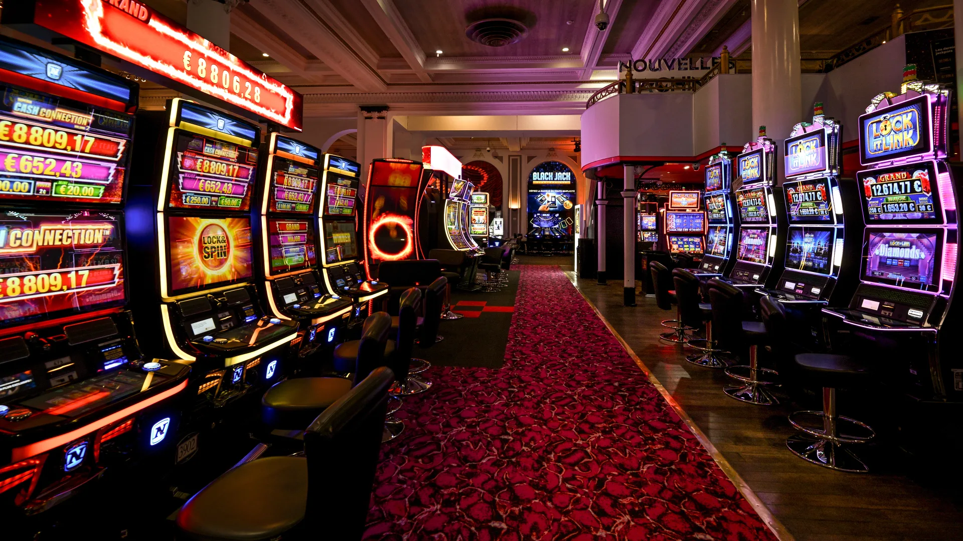 Gamdom TR Bahis Oyna: Risk Almadan Kazanç Sağlayın